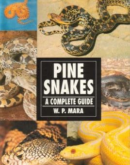 Pine Snakes: A Complete Guide Online now